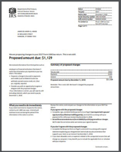 How To Respond To Irs Notice Cp2000